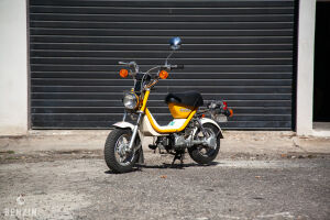 Yamaha Champ Projet - 1980