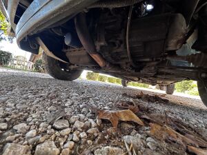 Peugeot 205 Roland Garros - 1991 *Projet