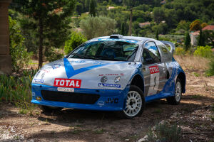 Peugeot 206 WRC Michel Vaillant - 2003