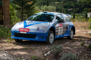 Peugeot 206 WRC Michel Vaillant - 2003