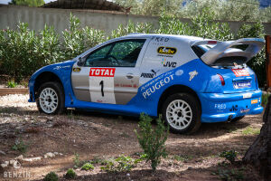 Peugeot 206 WRC Michel Vaillant - 2003