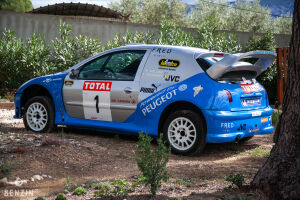 Peugeot 206 WRC Michel Vaillant - 2003