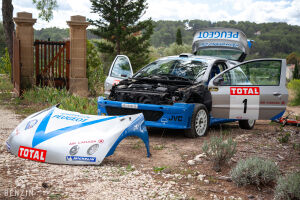 Peugeot 206 WRC Michel Vaillant - 2003