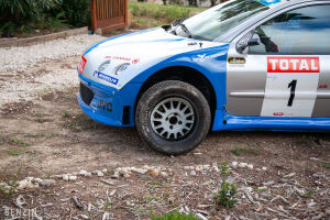 Peugeot 206 WRC Michel Vaillant - 2003