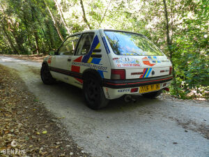 Peugeot 205 GTI 1600 Groupe A - 1985