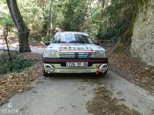 Peugeot 205 GTI 1600 Groupe A - 1985