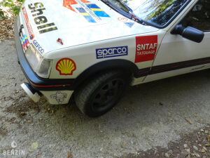 Peugeot 205 GTI 1600 Groupe A - 1985