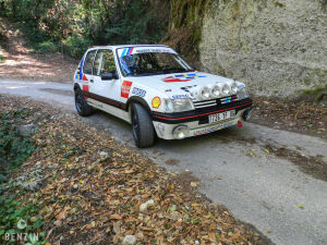 Peugeot 205 GTI 1600 Groupe A - 1985