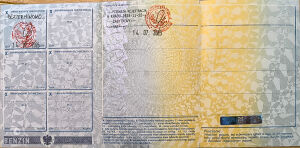 Willys-Overland Jeep Wagon - 1953