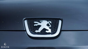 Peugeot 407 Coupé V6 HDi - 2006