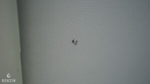 Peugeot 407 Coupé V6 HDi - 2006