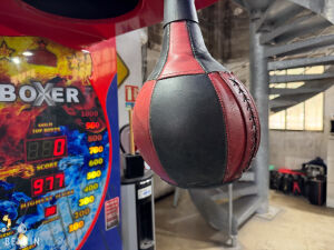 Boxer Coup de poing forain