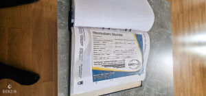 Ford Focus RS MK2 445cv - 2010