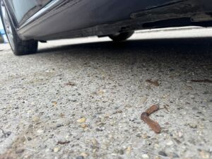 Porsche Boxster S - 2005