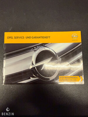 Opel Astra OPC - 2013