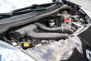 Renault Wind Gordini - 2012