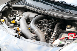 Renault Wind Gordini - 2012