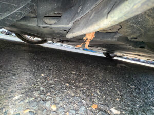 Porsche 911 type 997 Carrera 4S - 2007