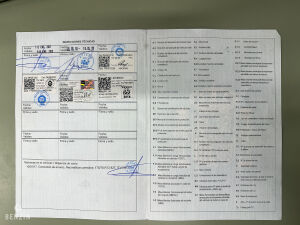 Alpine A110 FASA - 1970