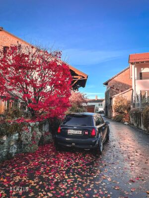 Mini Cooper S R53 - 2002