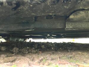 Mini Cooper S R53 - 2002