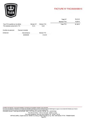 Austin Mini Van Mk1 - 1965