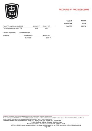 Austin Mini Van Mk1 - 1965