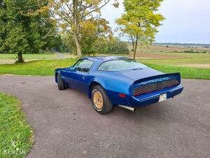 Pontiac Trans Am - 1979