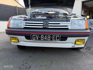 Peugeot 205 GTI 1.6 105 - 1984