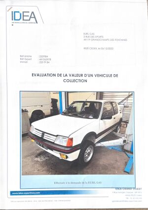 Peugeot 205 GTI 1.6 105 - 1984
