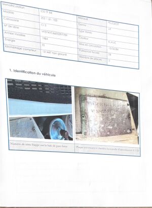 Peugeot 205 GTI 1.6 105 - 1984