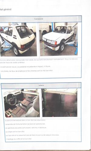 Peugeot 205 GTI 1.6 105 - 1984