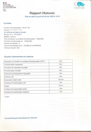 Peugeot 205 GTI 1.6 105 - 1984