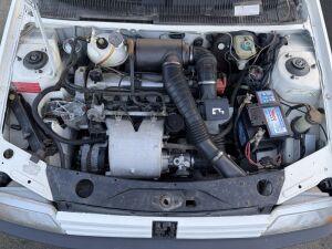 Peugeot 205 GTI 1.6 105 - 1984