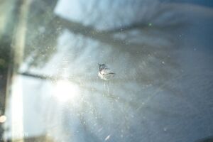 Toyota MR2 SW20 - 1991