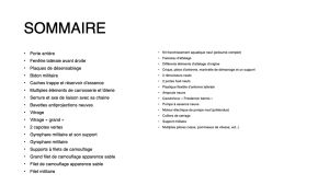 Land Rover Series III 88 Lightweight - 1979