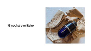 Land Rover Series III 88 Lightweight - 1979