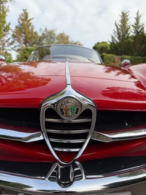 Alfa Romeo Giulia Sprint Speciale (SS)