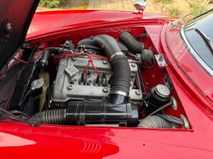 Alfa Romeo Giulia Sprint Speciale (SS)