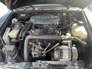 Mini 1300 MPI British Open - 1999