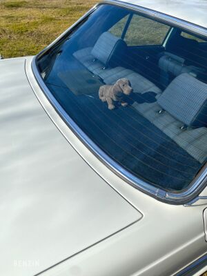 Mercedes-Benz 300 Turbodiesel W123 - 1983