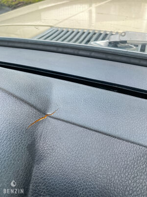 Mercedes-Benz 280 SE W116 - 1977