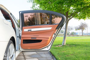 BMW 750Li Individual Pearl Edition - 2013