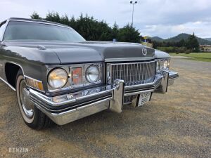 Cadillac Fleetwood Series 75 Limousine - 1973