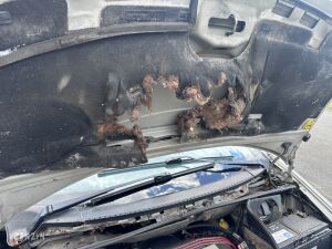 Ford Galaxy 2.8 V6 4x4 - 1998