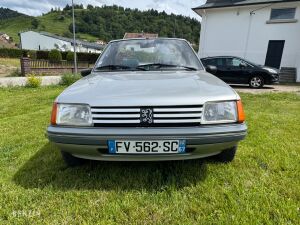 Peugeot 205 CJ - 1990
