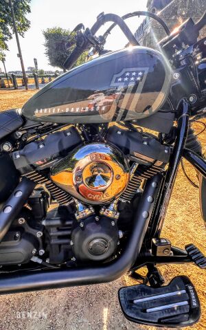 Harley Davidson Street Bob 114 - 2021