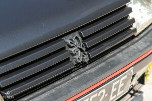 Peugeot 205 GTI 1.9 - 1991