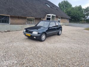 Peugeot 205 Gentry - 1991