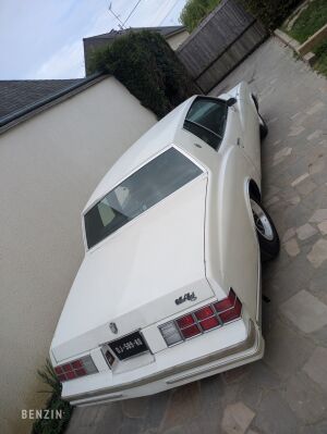 Chevrolet Monte Carlo - 1981